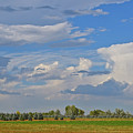 Clouds Aboive the Tree Farm