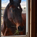 Hay There